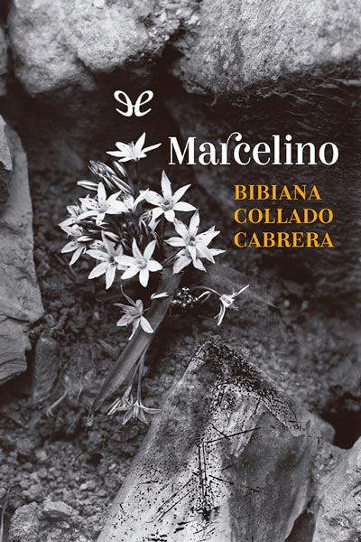 Marcelino: decires de un hombre