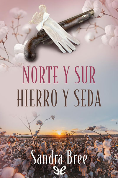 Norte y sur. Hierro y seda