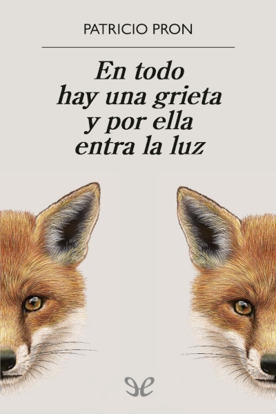 En todo hay una grieta y por ella entra la luz